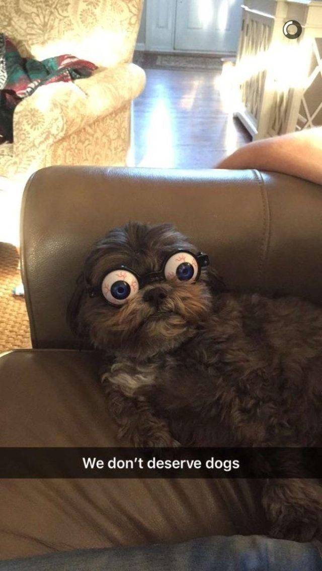 Morning Picdump