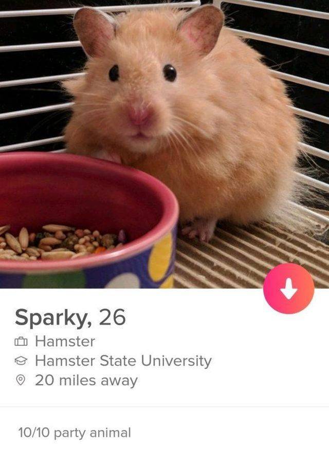 Tinder Is A Completely Shameless Place