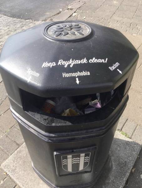 Morning Picdump