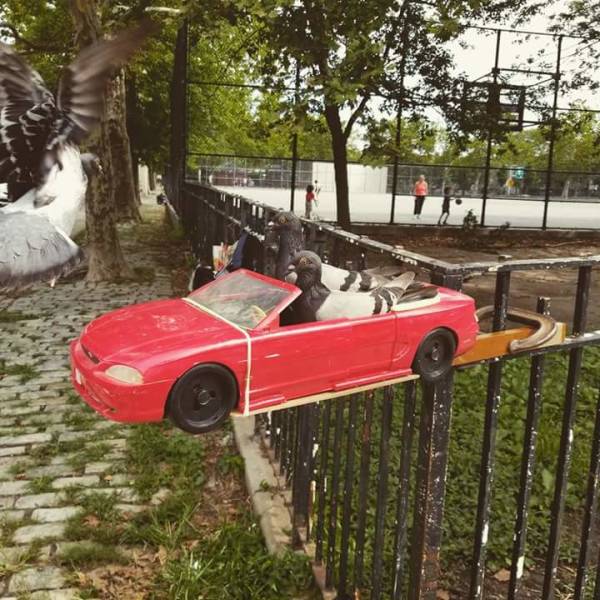 Morning Picdump