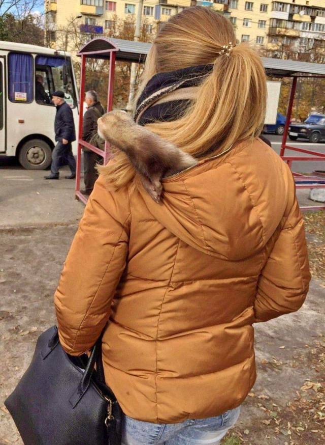 Daily Picdump