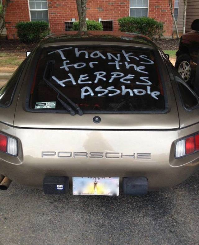 Daily Picdump
