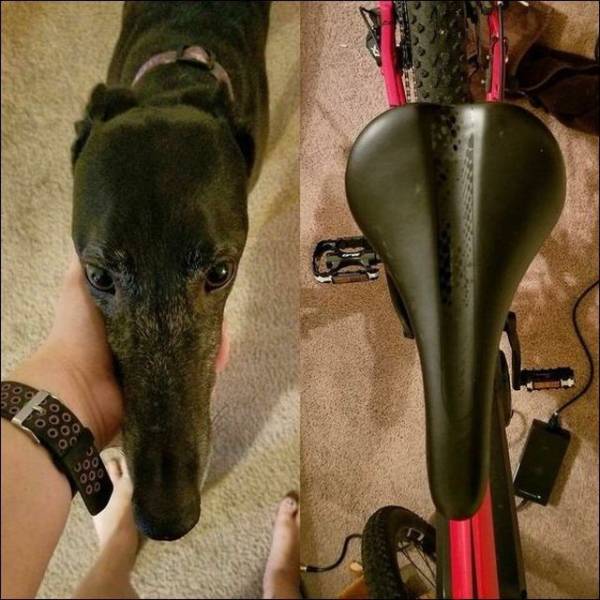 Content Image