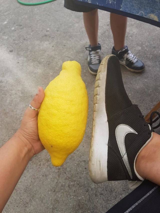 Content Image