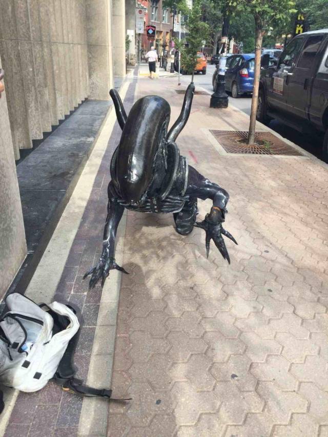 Content Image