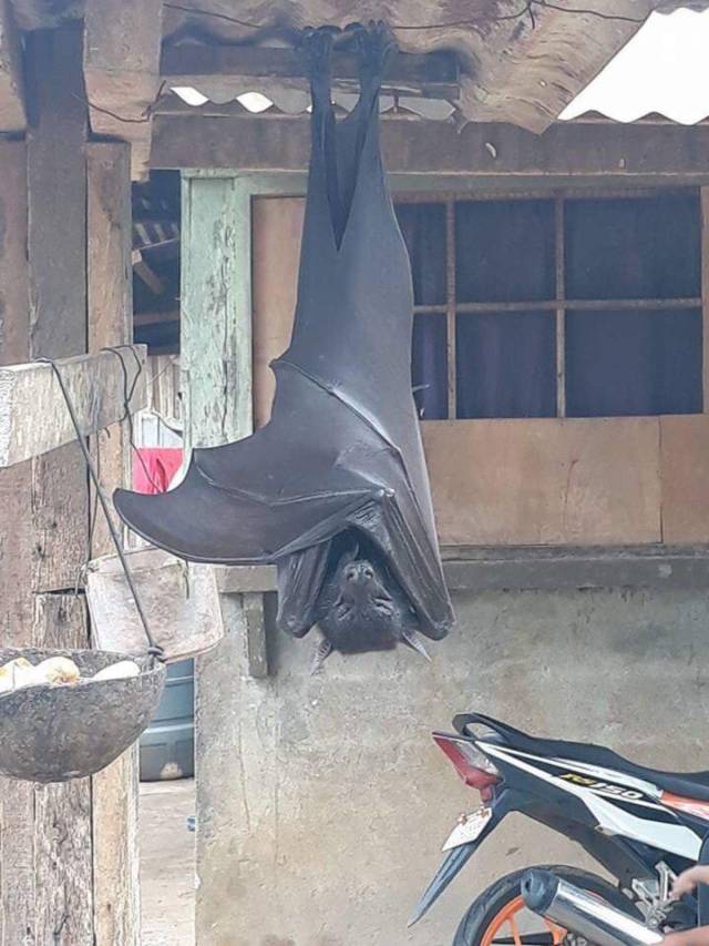 Content Image