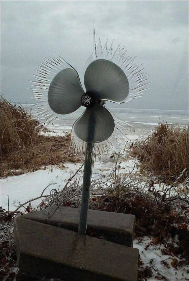 Content Image