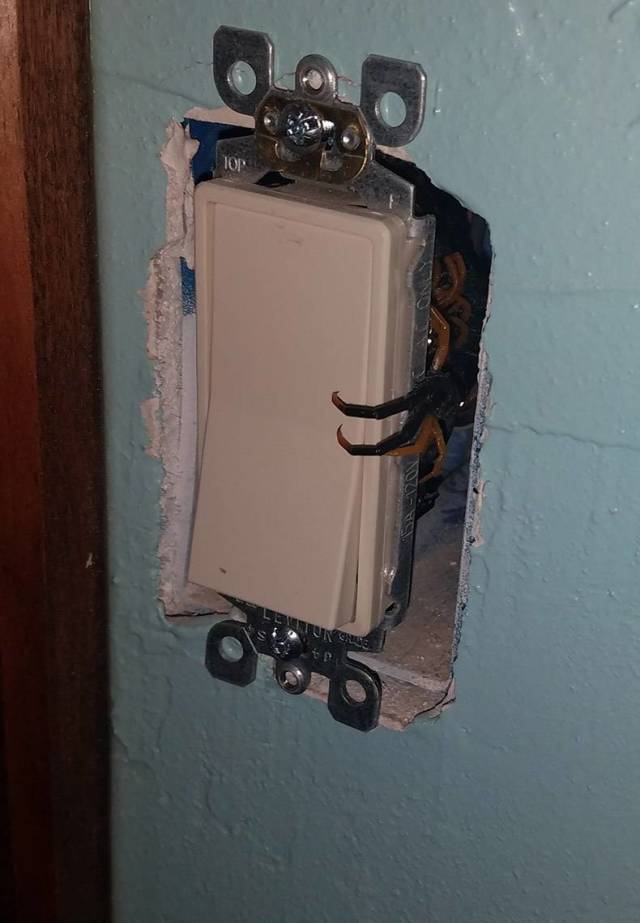 Content Image