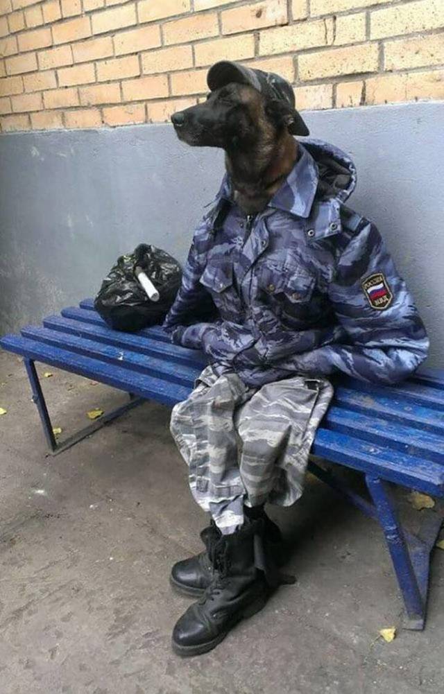 Content Image