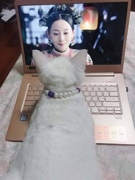 Daily Picdump