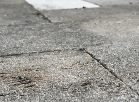 Some Things Should Never Be Done In Bed