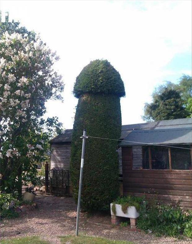 Dirty Minds Shall Be Pleased Here!