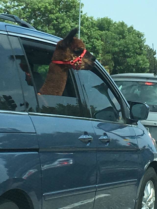 Morning Picdump