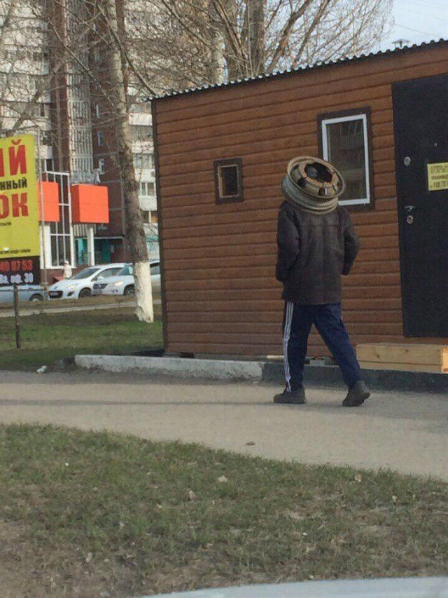 Daily Picdump