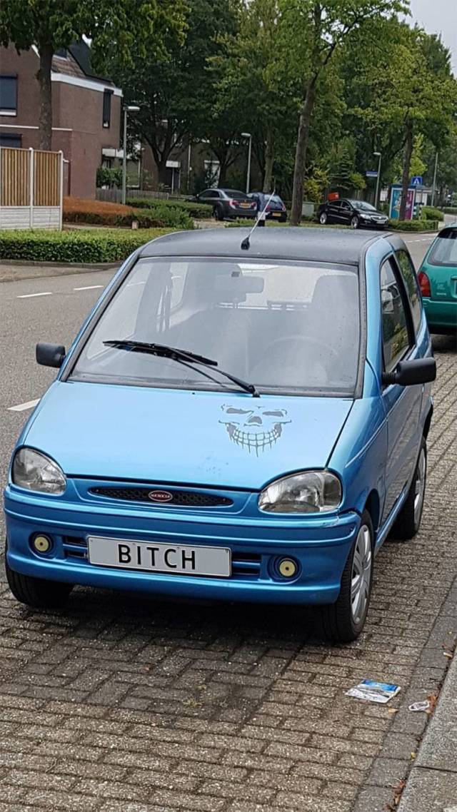Content Image
