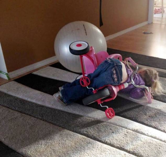 Morning Picdump