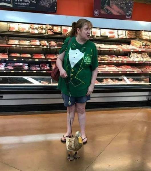 Content Image