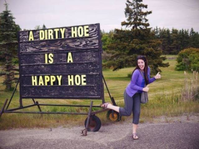 Content Image