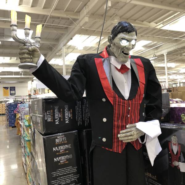 Content Image