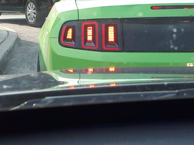 Morning Picdump