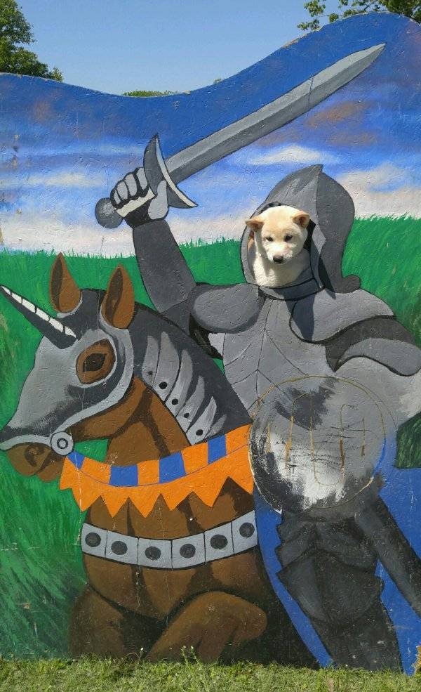Content Image
