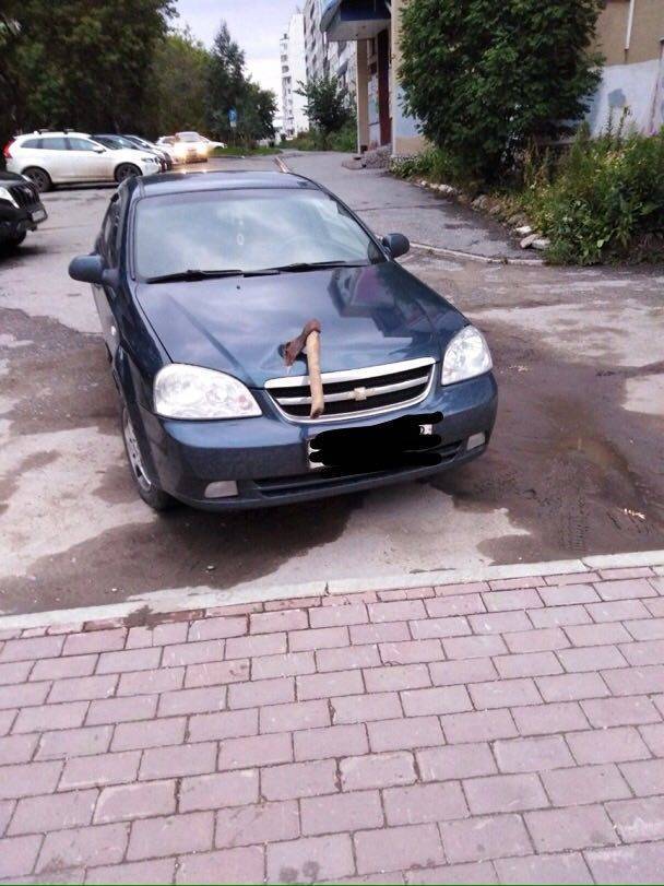 Content Image