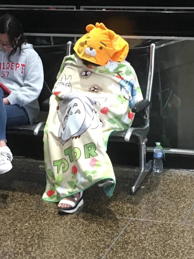 Content Image