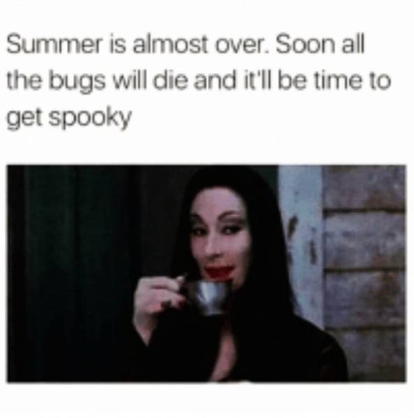 Summer Memes Are Pretty Hot!