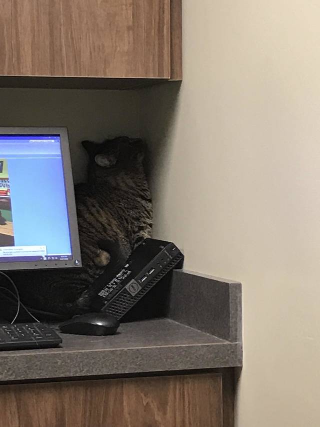 Daily Picdump [WEEKEND EDITION]