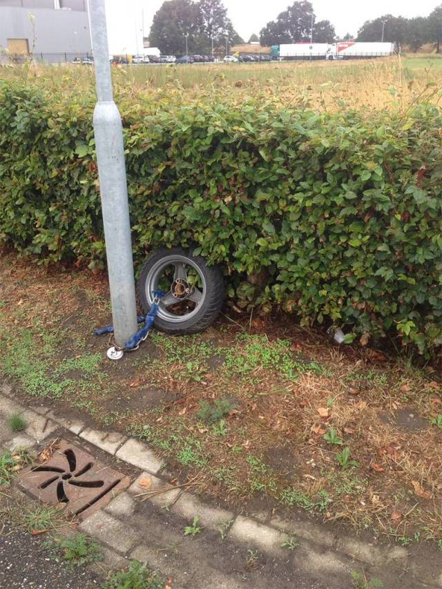 Content Image