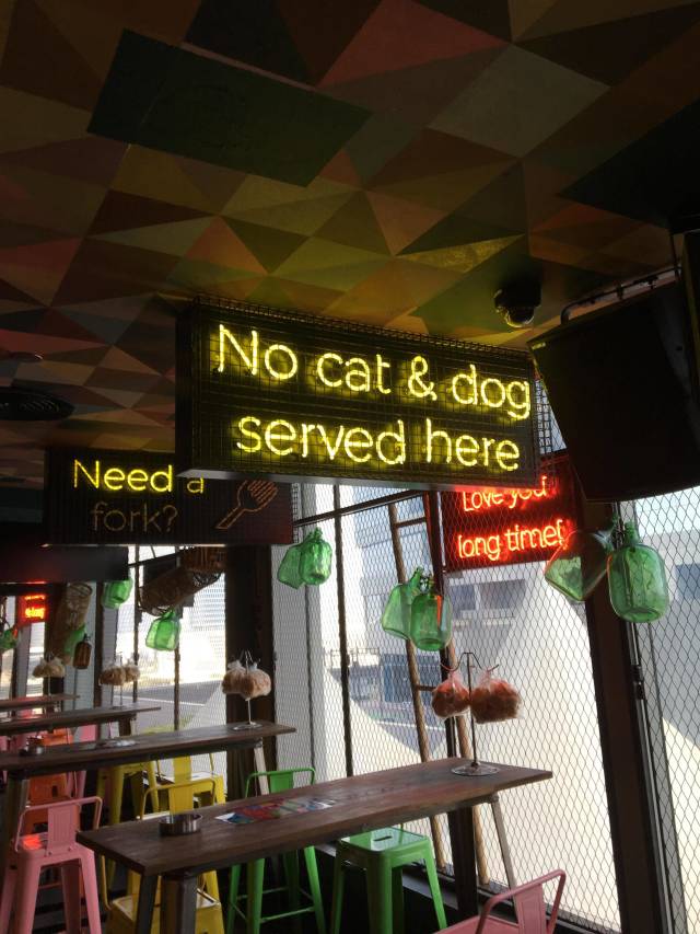 Content Image