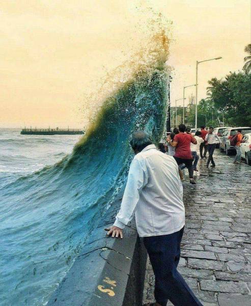 Daily Picdump