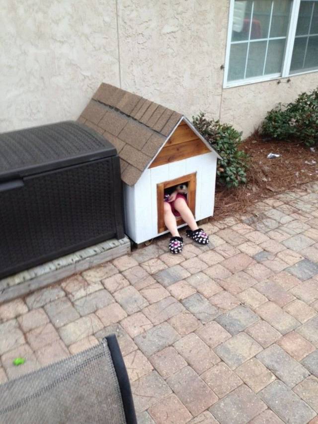 Daily Picdump