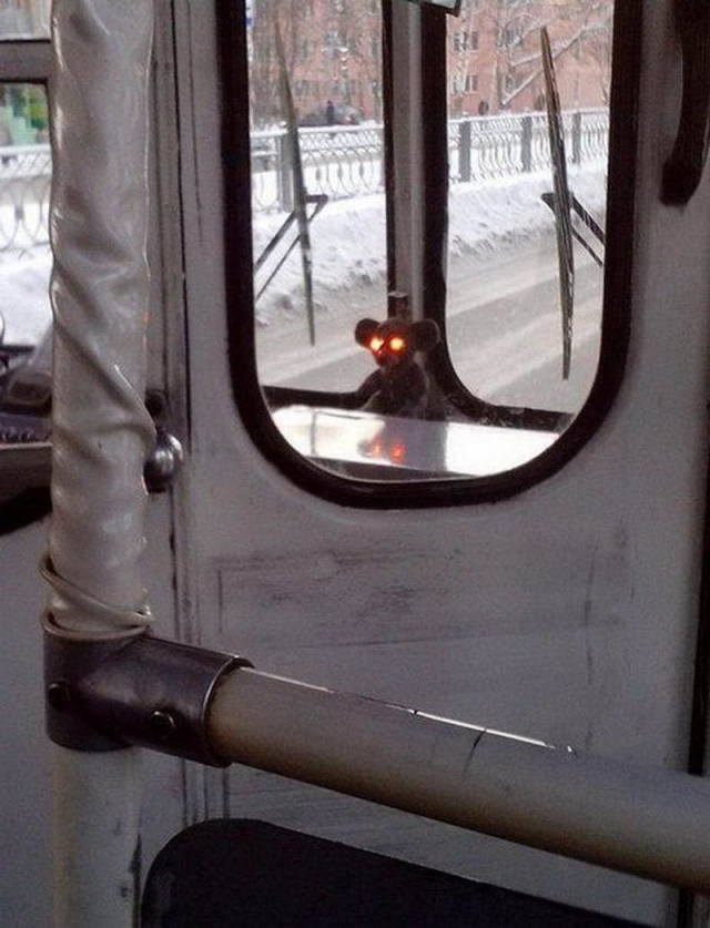 Daily Picdump