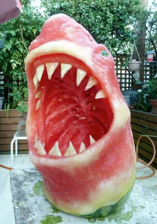 Morning Picdump