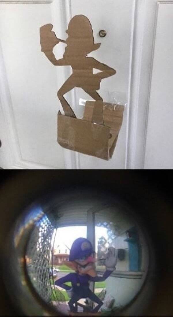 Morning Picdump