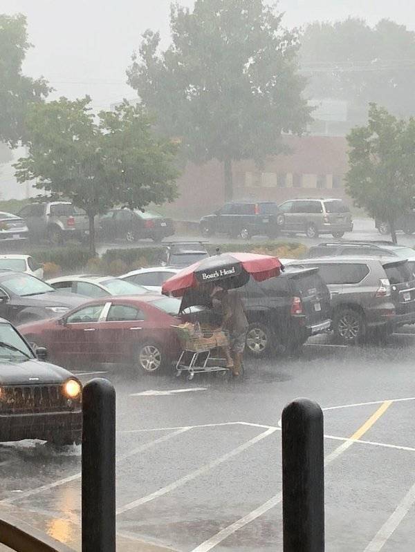 Content Image