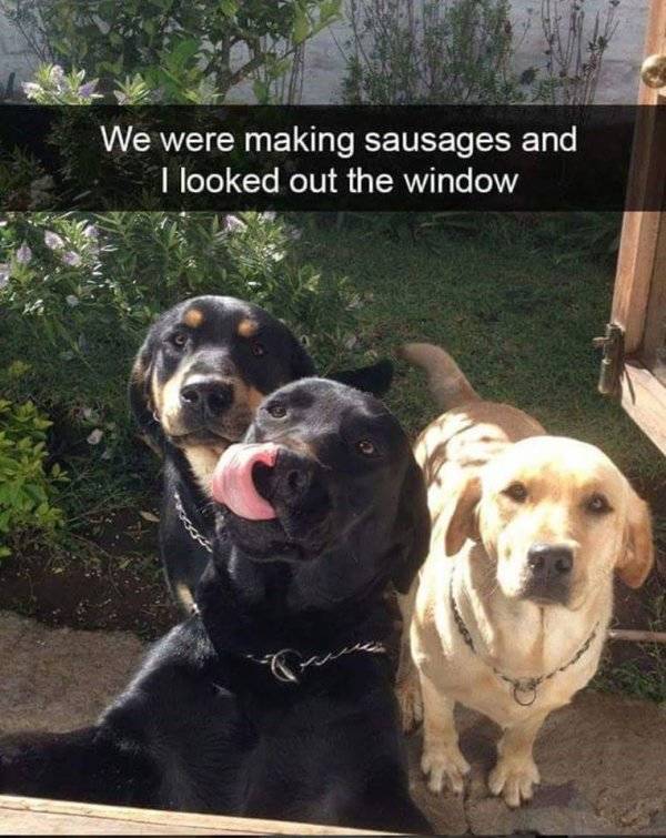 Content Image