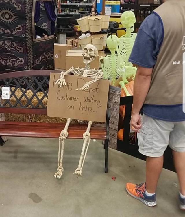 Content Image