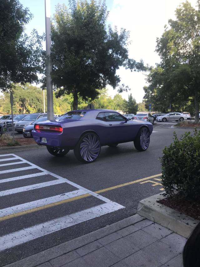 Content Image