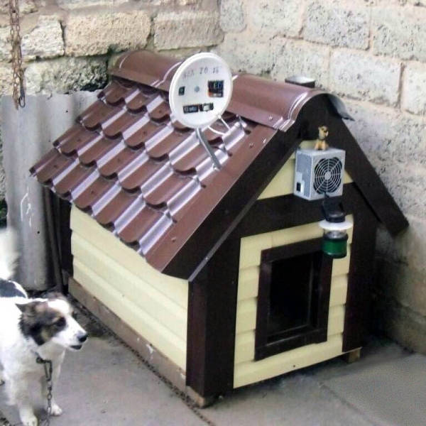 Daily Picdump