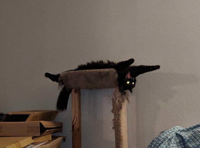 Content Image