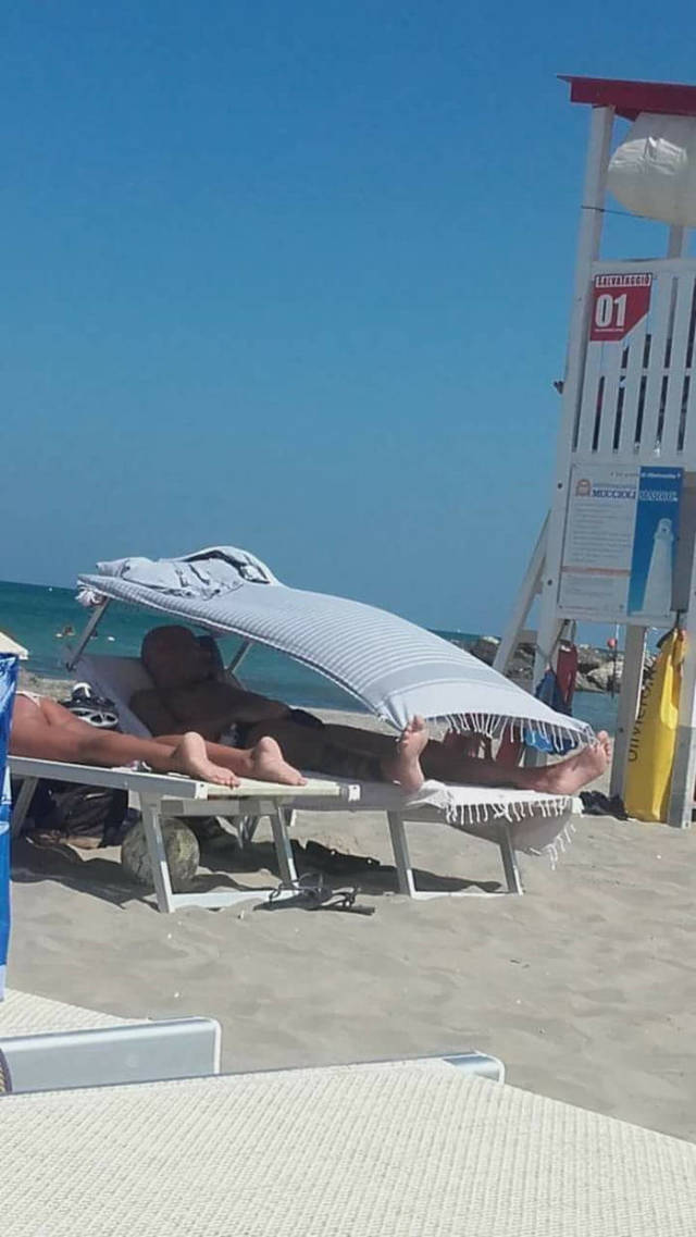 Daily Picdump