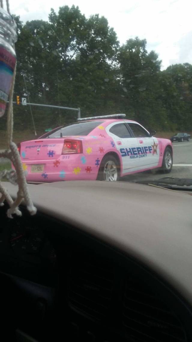 Daily Picdump