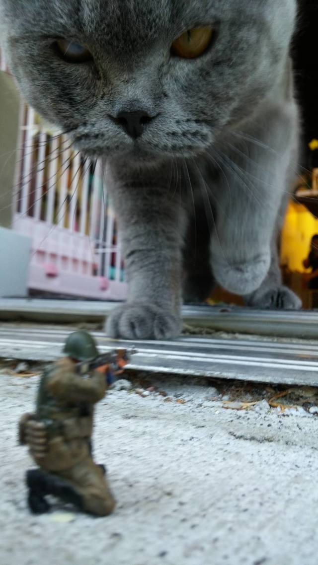 Content Image