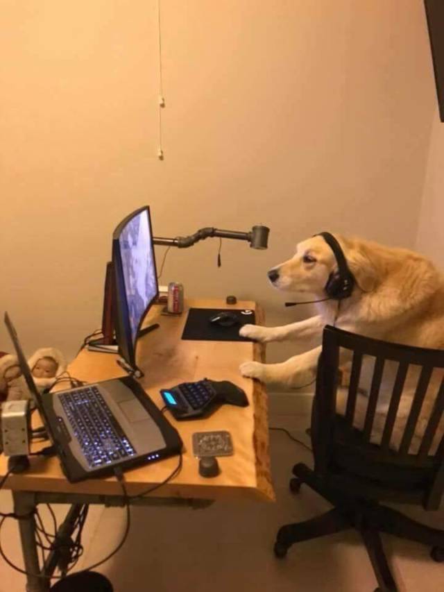 Content Image