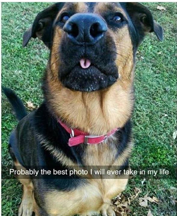 Funny Picdump