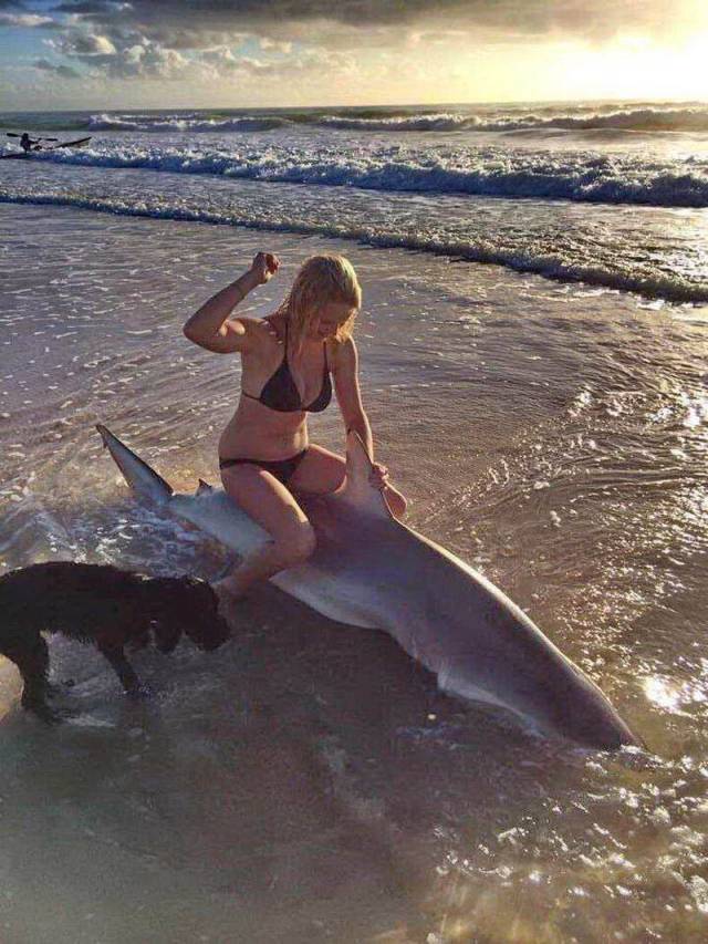 Daily Picdump