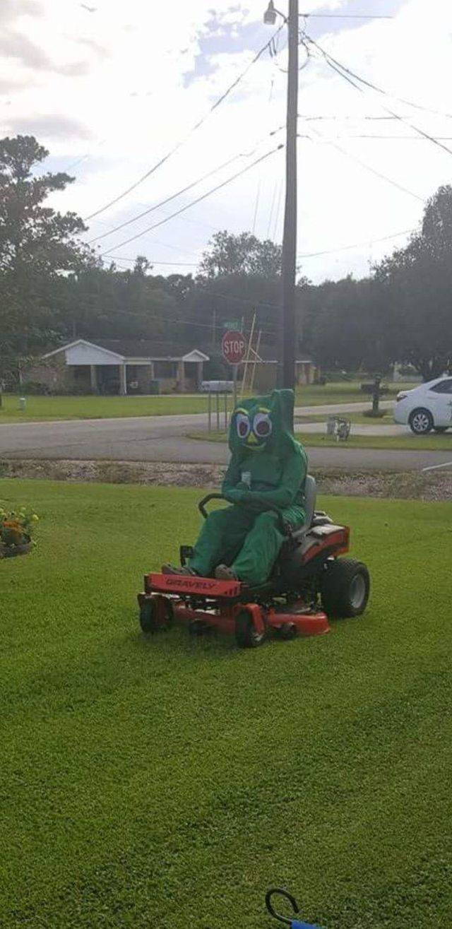 Content Image