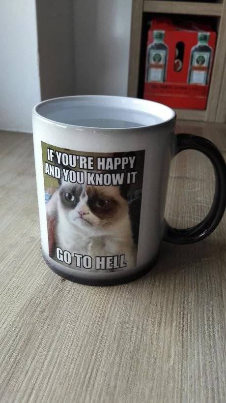 Morning Picdump